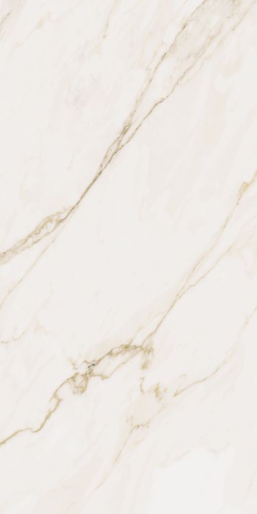Omnia Calacatta Matte 12 x 24
